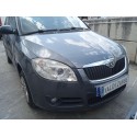SKODA FABIA II (542)