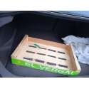 VOLVO S40 BERLINA