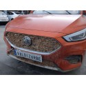 MG ZS SUV (AZS1)