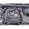 skoda kamiq (nw4) del año 2024