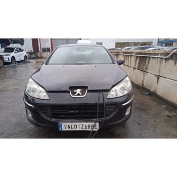 PEUGEOT 407 (6D_)