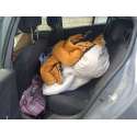 RENAULT MEGANE III BERLINA 5 P