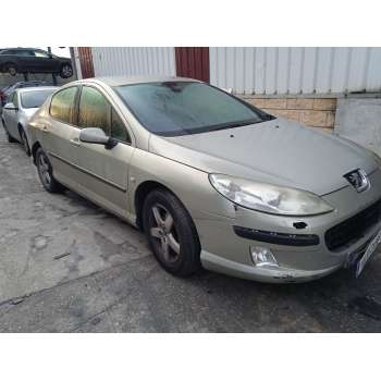 PEUGEOT 407 (6D_)