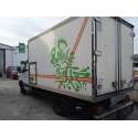 IVECO DAILY IV CAJA/CHASIS