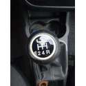 FIAT PUNTO (EVO) (199)