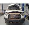 ford transit v363 furgoneta (fcd, fdd) del año 2024