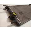Recambio de radiador agua para renault scenic iii grand dynamique referencia OEM IAM 214100017R  
