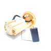 Recambio de bomba combustible para citroën c3 tonic referencia OEM IAM 9685479280  
