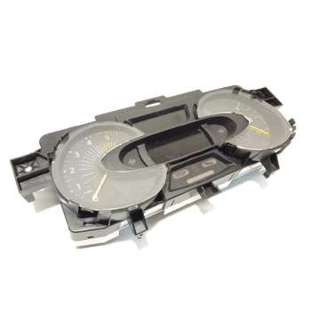 CUADRO INSTRUMENTOS 248107065R 
