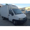 fiat ducato furgoneta (244_) del año 2003