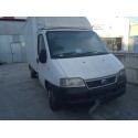 FIAT DUCATO FURGONETA (244_)