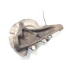 Recambio de mangueta delantera derecha para bmw serie 5 lim. (f10) 525d referencia OEM IAM 31216775770  31206850158