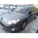 PEUGEOT 407 (6D_)
