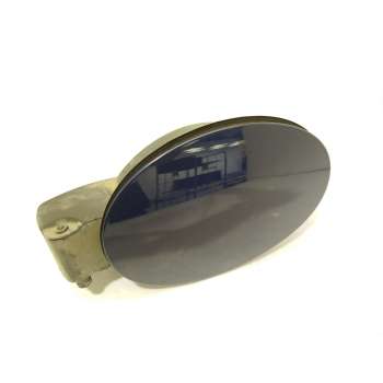 TAPA EXTERIOR COMBUSTIBLE 156139013 50544108 