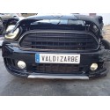 MINI MINI COUNTRYMAN (F60)