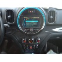 MINI MINI COUNTRYMAN (F60)