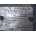 FIAT BRAVO (198)