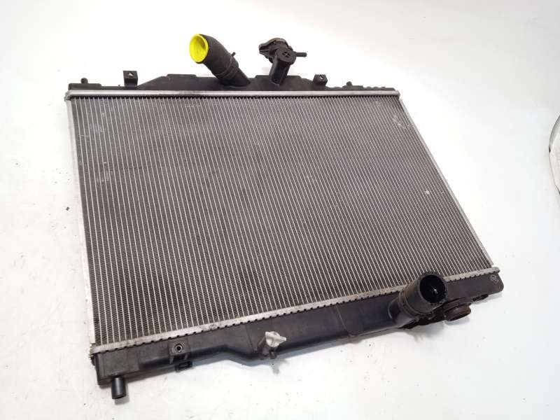 RADIADOR AGUA S55215200D 223004922