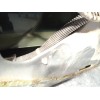 Recambio de puerta trasera derecha para honda cr-v ii (rd_) 2.0 (rd5) referencia OEM IAM 67510SCAE00ZZ  