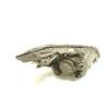 Recambio de faro izquierdo para ssangyong korando (ck) 2.0 e-xdi referencia OEM IAM 8310134100  