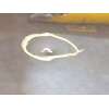 Recambio de puerta trasera derecha para ssangyong korando (ck) 2.0 e-xdi referencia OEM IAM 6302134103  