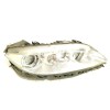 Recambio de faro derecho para mazda 6 station wagon (gy) 2.0 di (gy19) referencia OEM IAM GJ6R510K0C  