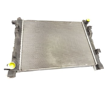 RADIADOR AGUA 214100078R 