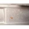 Recambio de caja cambios para opel meriva b monospace (s10) 1.6 cdti (75) referencia OEM IAM M32 M320MDE 5700735