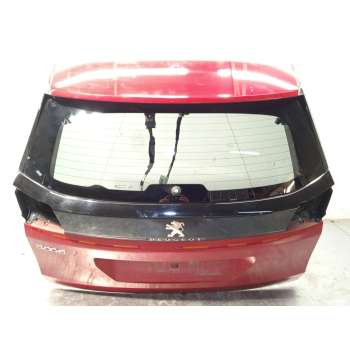 PORTON TRASERO 1617409480 9810847480 