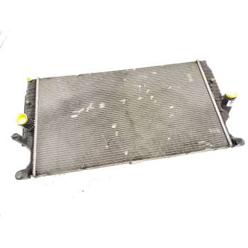 RADIADOR AGUA 164000R061 