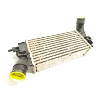 INTERCOOLER L1BG6D624AB 2524812 