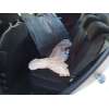 fiat bravo ii (198_) del año 2010