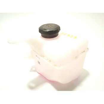 DEPOSITO EXPANSION 25430G6000 