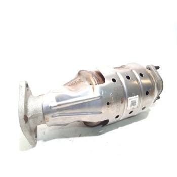 CATALIZADOR 289G007FP0 