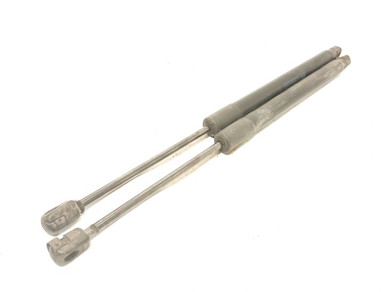 AMORTIGUADORES MALETERO / PORTON 13387067 315005777