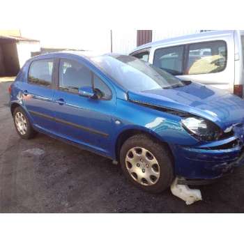 PEUGEOT 307 (S1)