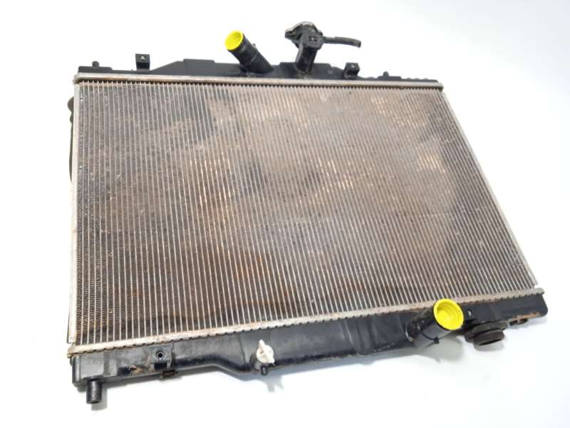 RADIADOR AGUA 2230004922 