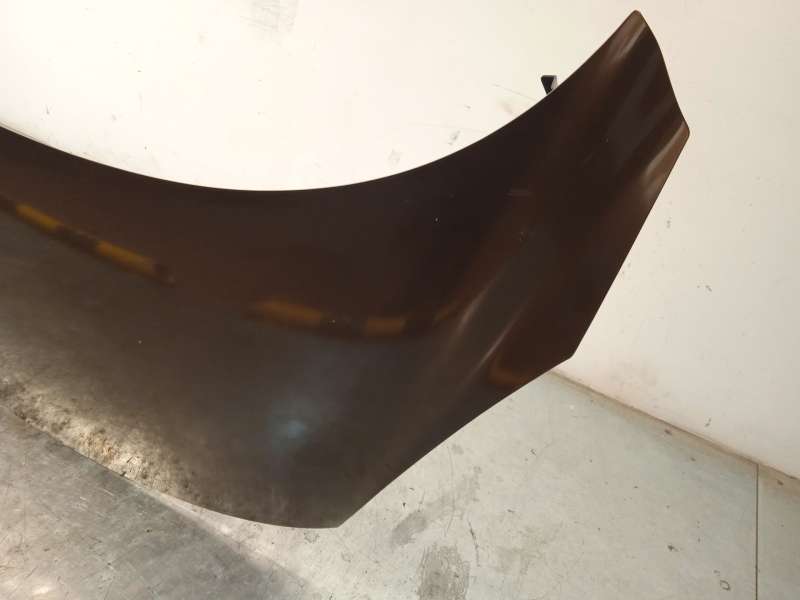 Recambio de capot para renault scénic iii (jz0/1_) 1.5 dci referencia OEM IAM 651008842R - Marron 3