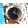 Recambio de motor completo para ford tourneo courier 1.0 ecoboost referencia OEM IAM B7NB  