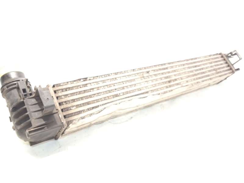 Recambio de intercooler para renault scénic iii (jz0/1_) 1.5 dci referencia OEM IAM 144963639R - Blanco 4
