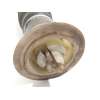 Recambio de amortiguador trasero derecho para bmw 5 touring (f11) 520 d referencia OEM IAM 37106784379  