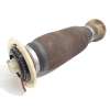 Recambio de amortiguador trasero izquierdo para bmw 5 touring (f11) 520 d referencia OEM IAM 37106784379  