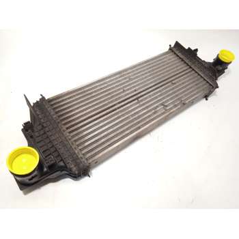 INTERCOOLER A2515000000 A1645001900 
