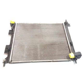 RADIADOR AGUA 253104P700 