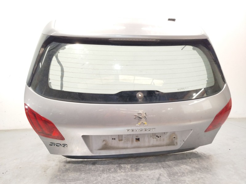 PORTON TRASERO 1610669880 9677891980 