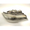 Recambio de faro derecho para bmw 3 (e90) 330 d referencia OEM IAM 63117202584  
