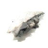 Recambio de faro derecho para peugeot 307 (3a/c) 1.6 hdi 110 referencia OEM IAM 9681832280 620686 