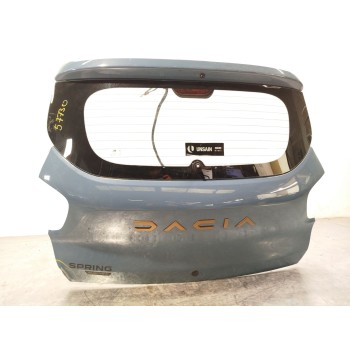 PORTON TRASERO 901002133R 