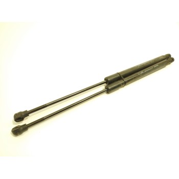 AMORTIGUADORES MALETERO / PORTON 904529943R 