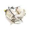 Recambio de catalizador para cupra leon sportstourer (kl8, ku8, kud) 1.5 etsi referencia OEM IAM 05E131723F 05E131701H 